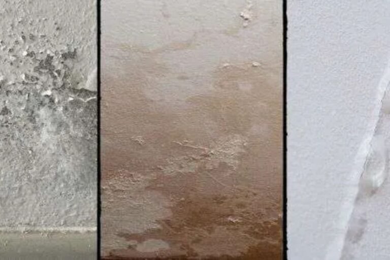 How to Identify Early Signs of Water Damage (and What to Do When It’s Too Late!)