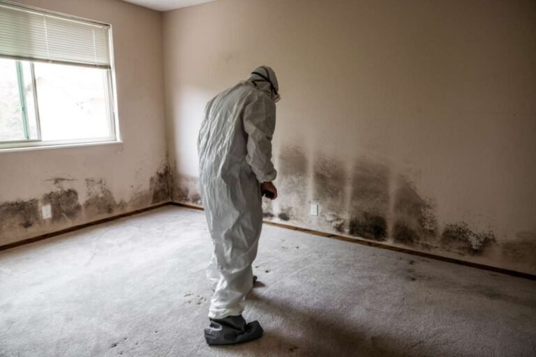 Busting Top Myths About Mold and Mold Remediation