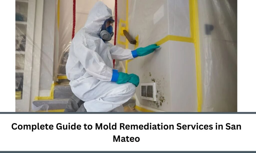 Complete Guide to Mold Remediation Services in San Mateo
