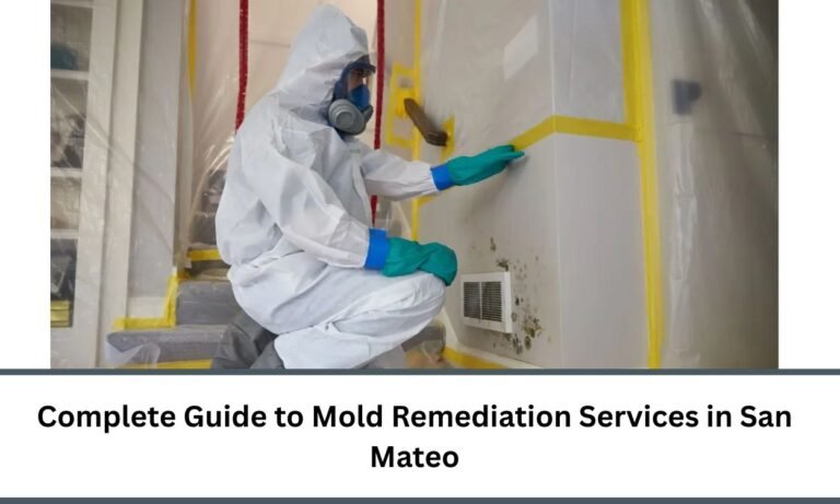 Complete Guide to Mold Remediation Services in San Mateo