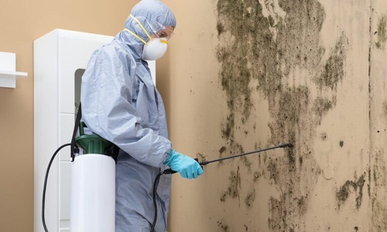Top Mold Testing and Remediation Techniques for a Healthier Home